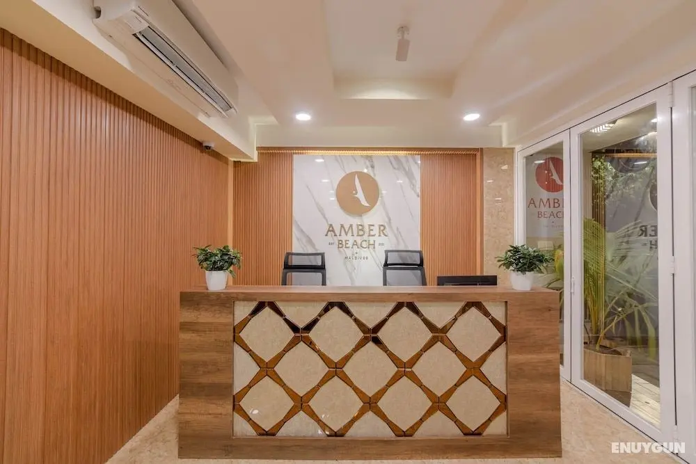 Amber Beach - Lobi