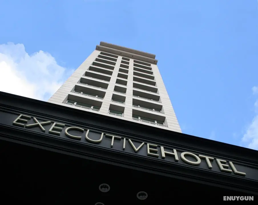 Amerian Executive Mendoza Hotel - Genel