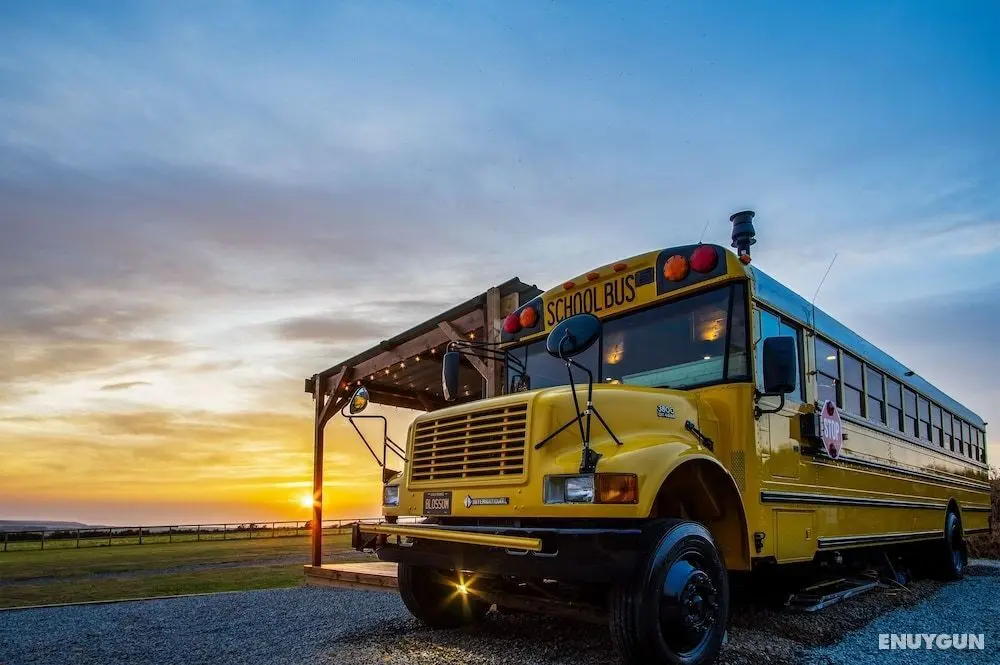 American School Bus - Blossom Farm - Öne Çıkan Resim