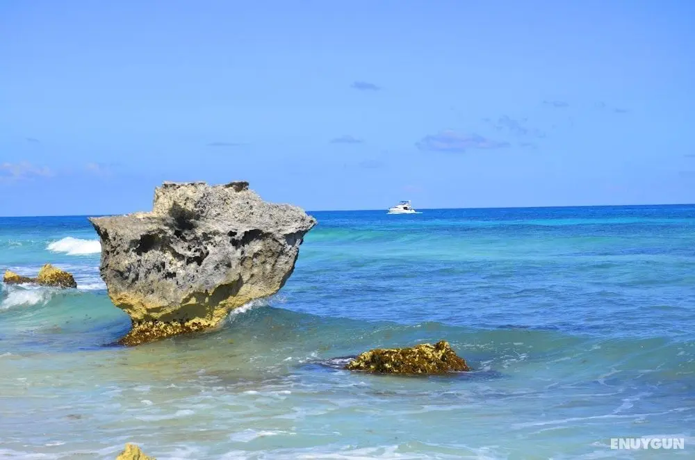 Amigo Rental Isla Mujeres - Öne Çıkan Resim