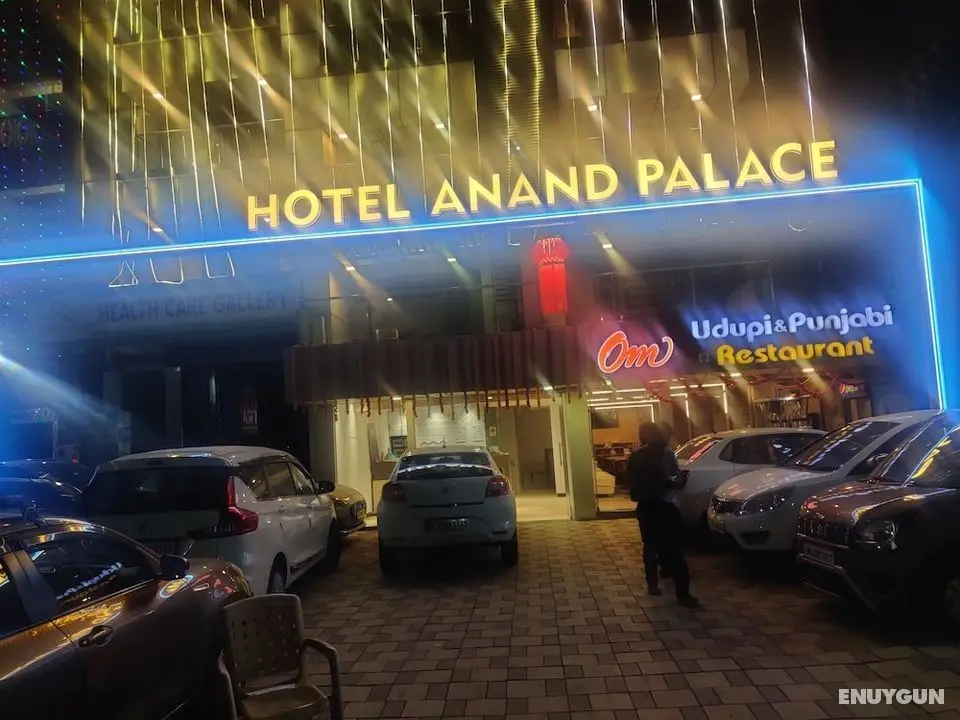 Anand Palace - Yerinde Yemek