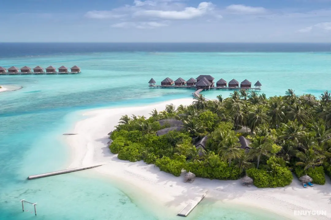 Anantara Dhigu Resort - Genel
