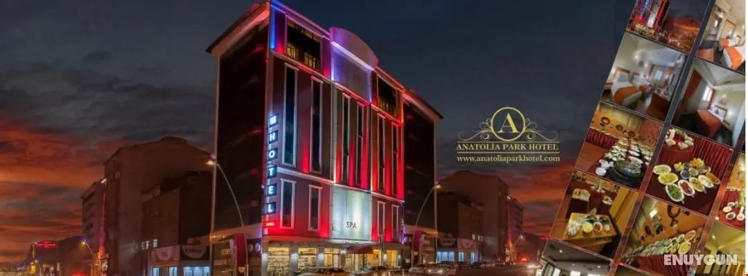 Anatolia Park Otel - Genel