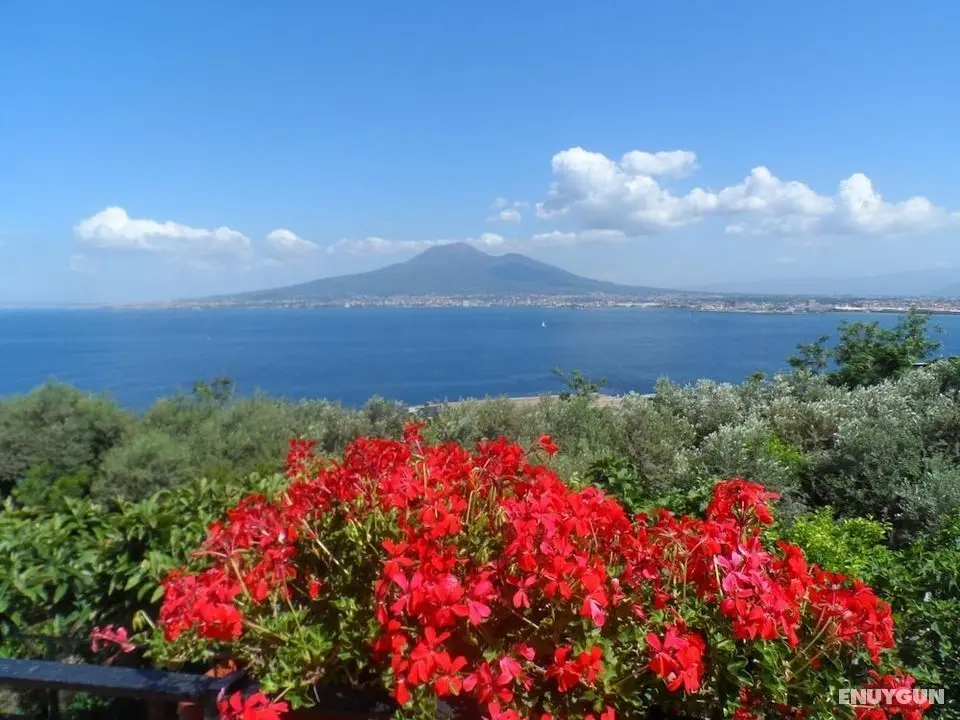 Ancelle Sorrento - Dış Mekan