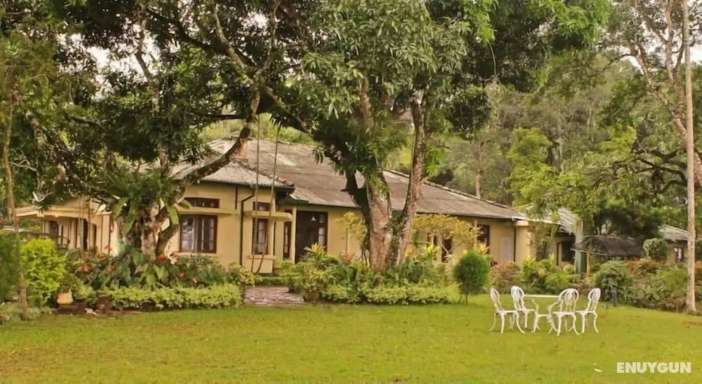 Ancoombra Tea Estate Bungalow - Öne Çıkan Resim