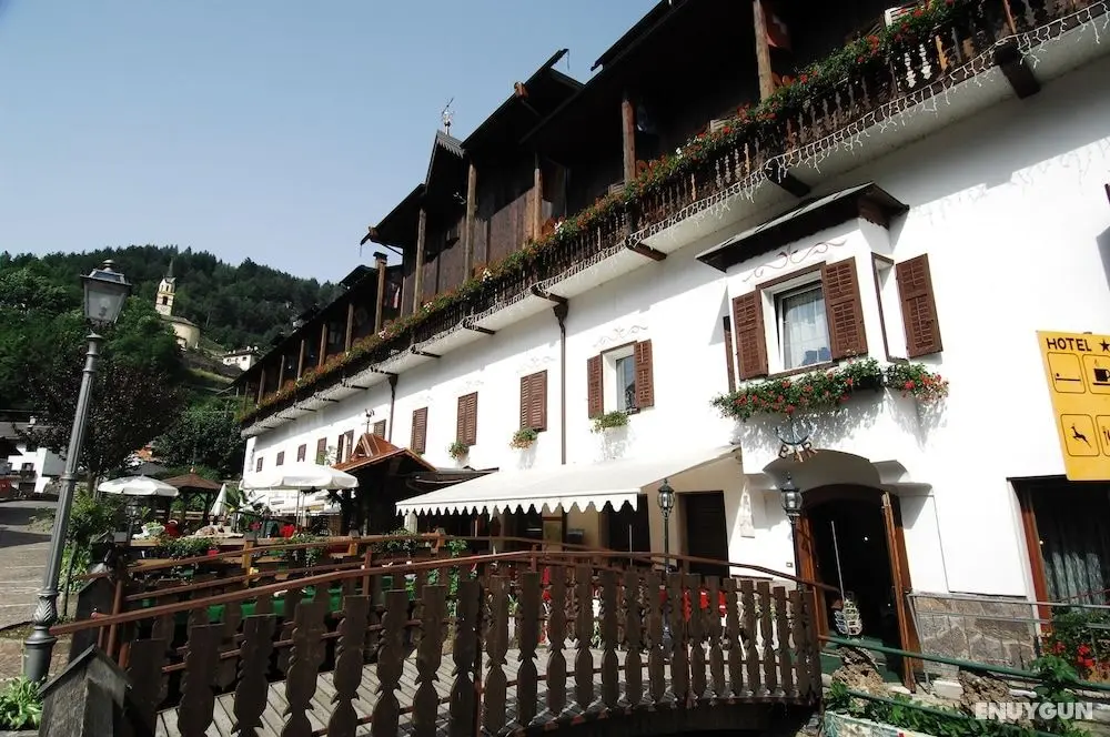 Hotel Ancora - Dış Mekan