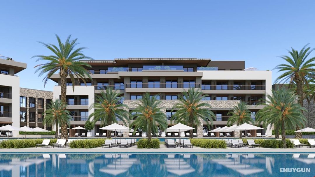 Anda Barut Collection