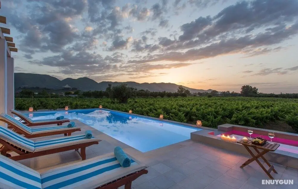 Aneli Villas - Villa Elissavet - Öne Çıkan Resim