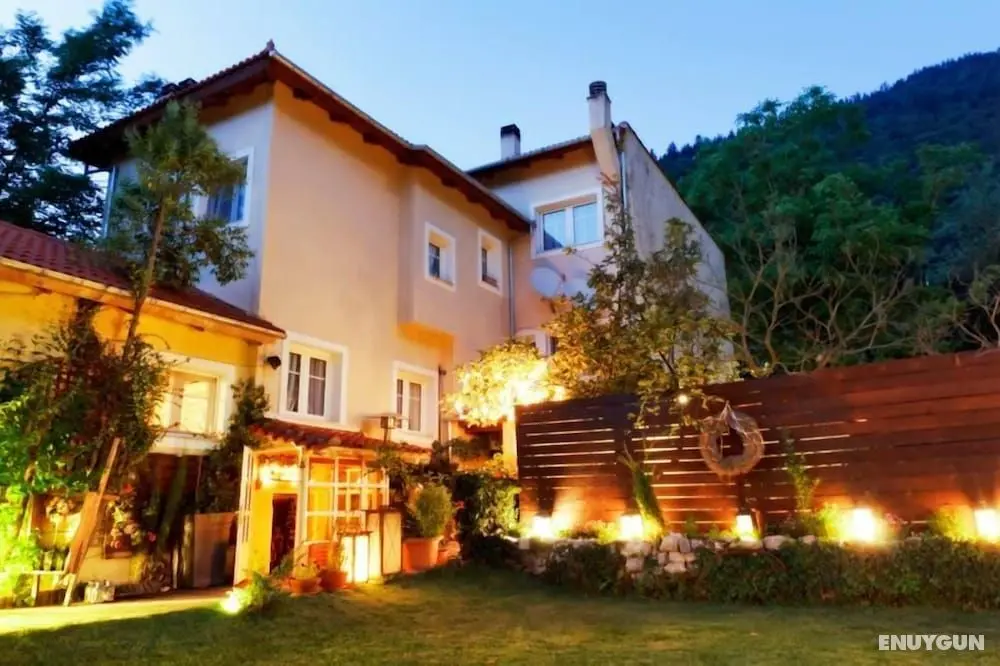 Anerada Inn Boutique Hotel - Dış Mekanlar