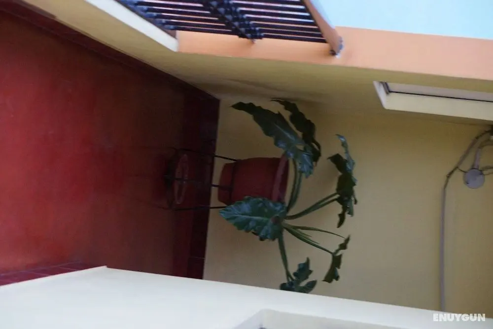 Angelica's Home - Apartments - İç Mekan