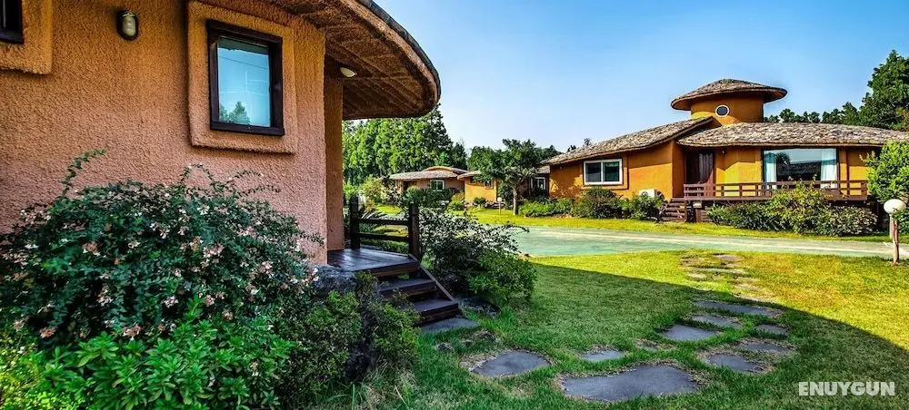 Angkurie Pension - Öne Çıkan Resim
