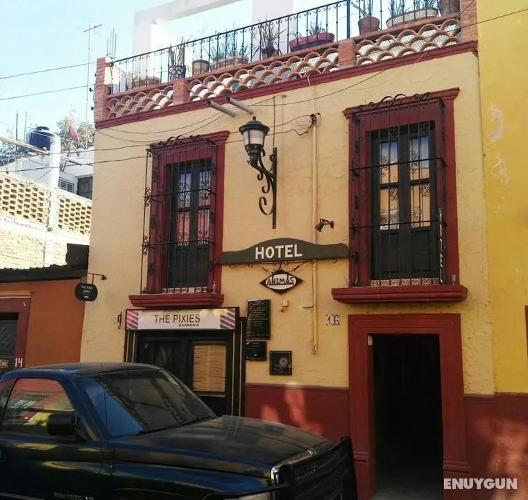 Hotel Animas 16 - Öne Çıkan Resim