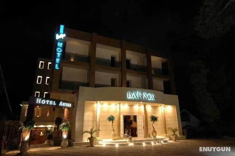 Anixi Boutique Hotel - Genel