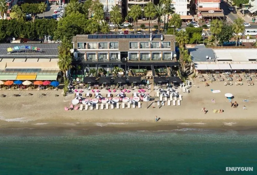 Anjeliq House - Öne Çıkan Resim