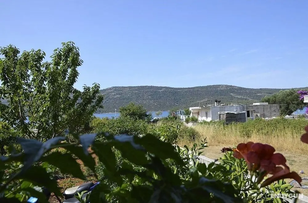 Anka - 50m From Pebble Beach - A1 - Öne Çıkan Resim