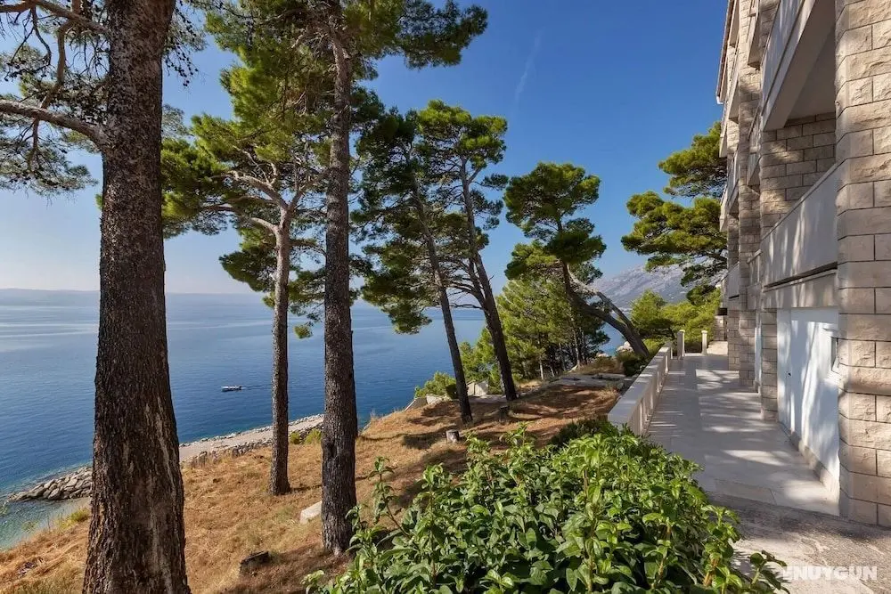Anka - Amazing Location - Sa10 - Oda