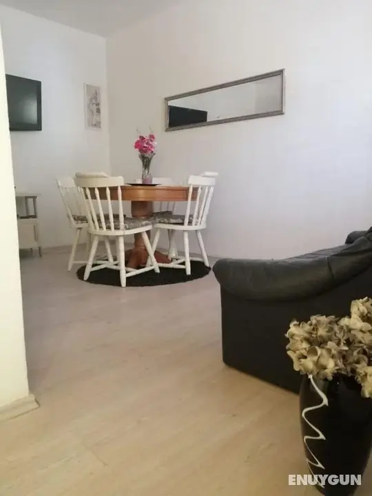 Anka - Comfortable and Affordable - A1 - Öne Çıkan Resim