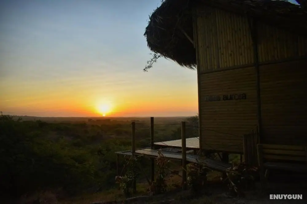 Ankua Eco Hotel - Öne Çıkan Resim
