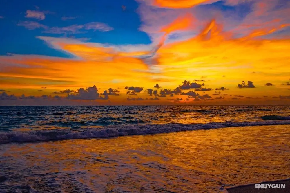 Anna Maria Island Beach Palms 6B - Oda