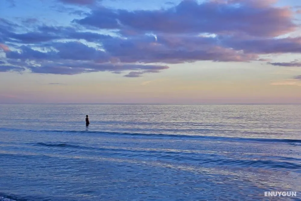 Anna Maria Island Beach Paradise 6 - Öne Çıkan Resim