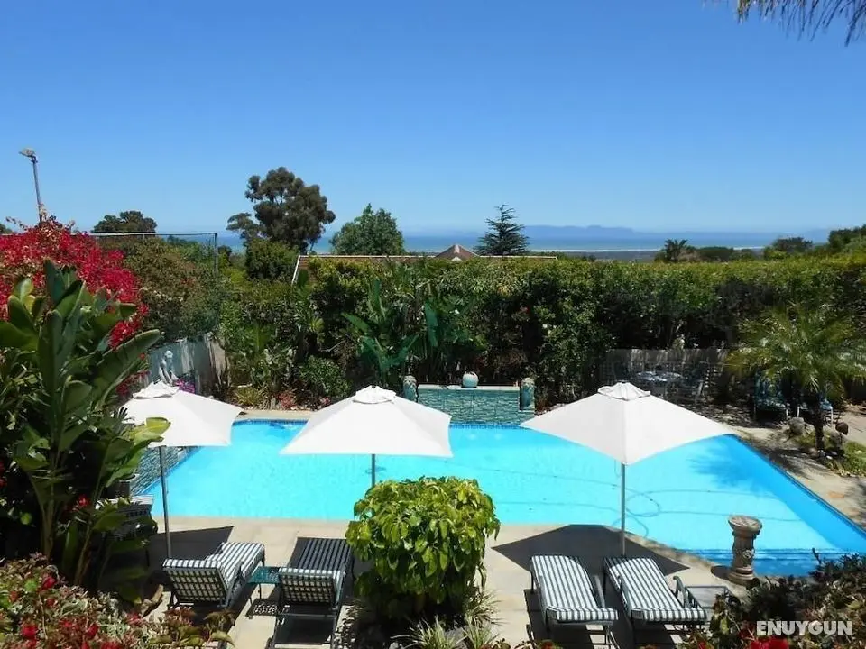 The Annex Roosboom Luxury Studio - Double Bed, in Sumerset West Near Capetown - Öne Çıkan Resim