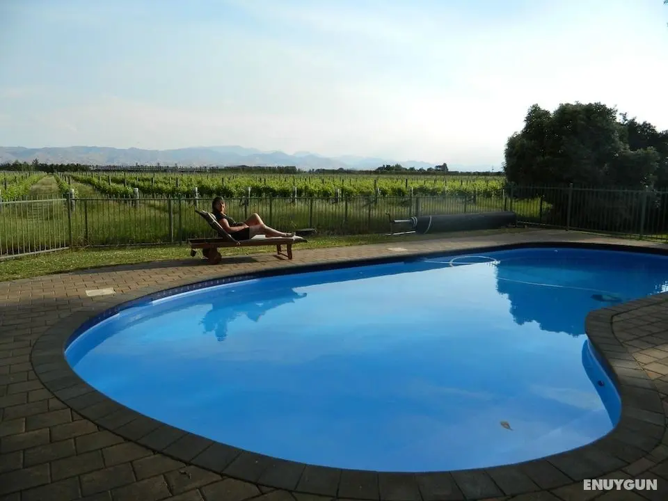 Antares Homestay - Havuz