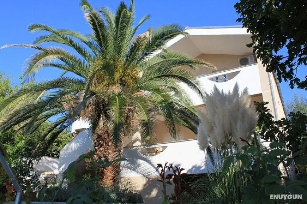 Ante - 50m From the sea - A4 Lila - Dış Mekan