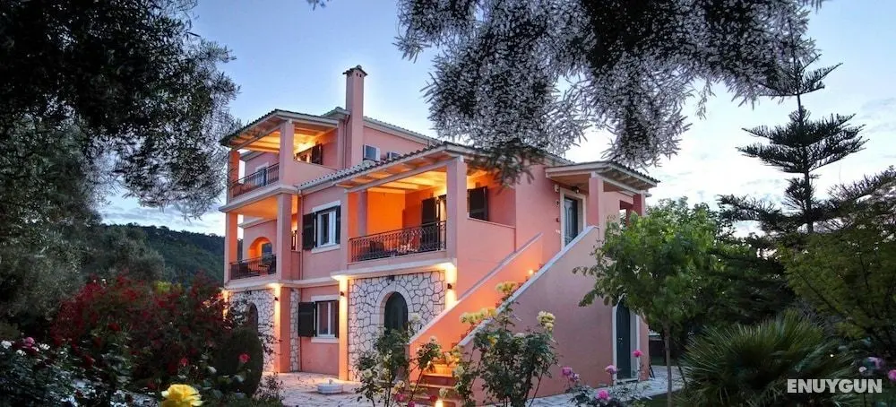 Anthias Garden - Öne Çıkan Resim