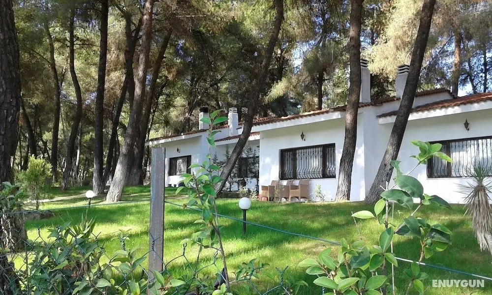 Villa Anty-for Rest and Relaxation - Dış Mekan