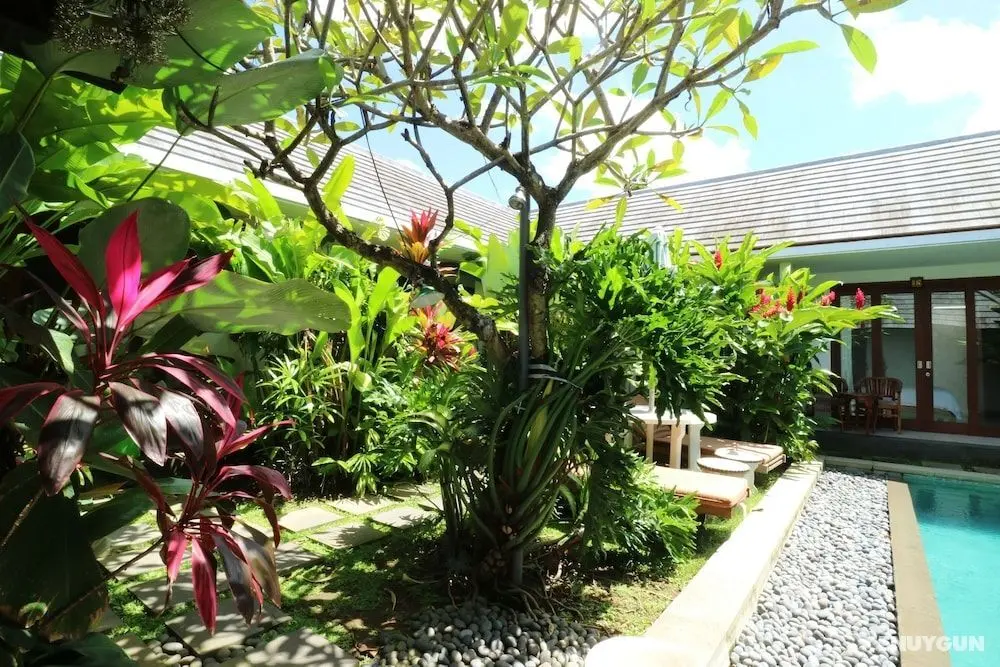 Anyar Bagus Villa - Öne Çıkan Resim