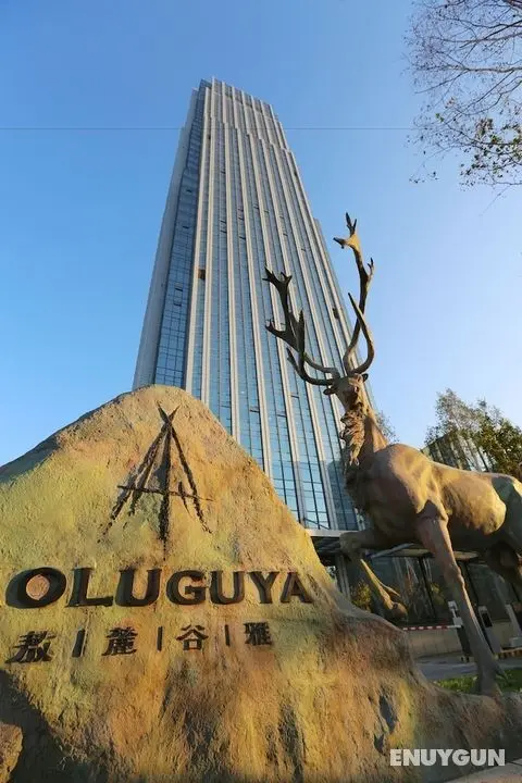 AOLUGUYA · The Unbound Collection by Hyatt - Öne Çıkan Resim