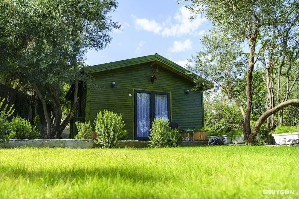 Apa Mountain Lodge - Öne Çıkan Resim