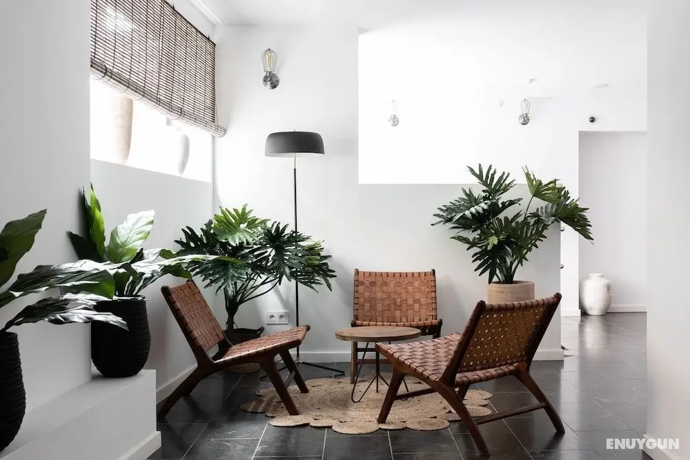 Aparthotel Terreno Studios - Öne Çıkan Resim