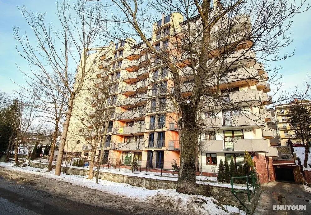 Apartament City Center Exclusive Suite - Dış Mekan