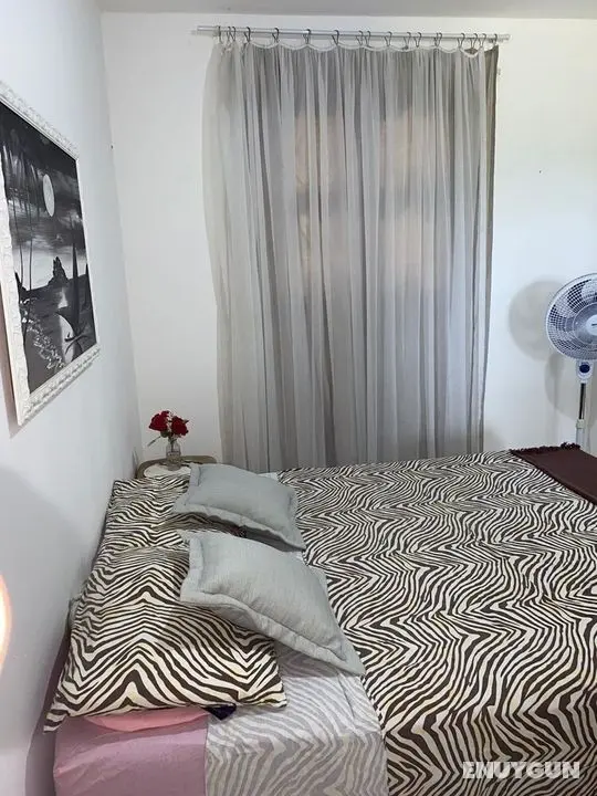 Apartamento Encantador Lagoinha - Oda
