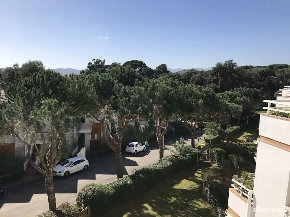 Apartamento Politur F-42 - Oda Manzaraları