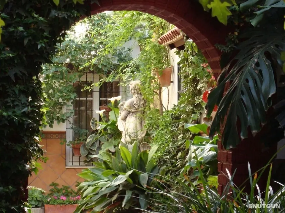 Apartamentos Embrujo de Azahar - Dış Mekanlar