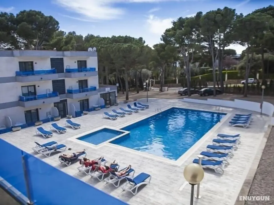 Apartamentos Treumal Park 24 - Öne Çıkan Resim