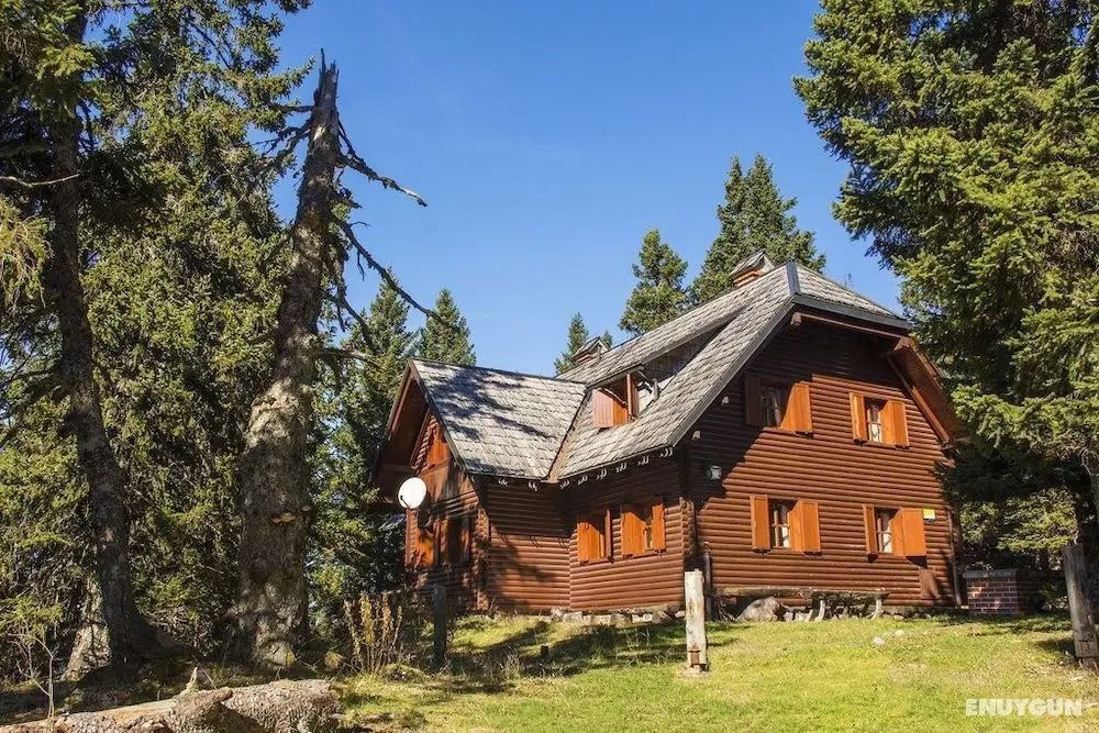 Apartmajska hiša Muštrinka - Dış Mekan