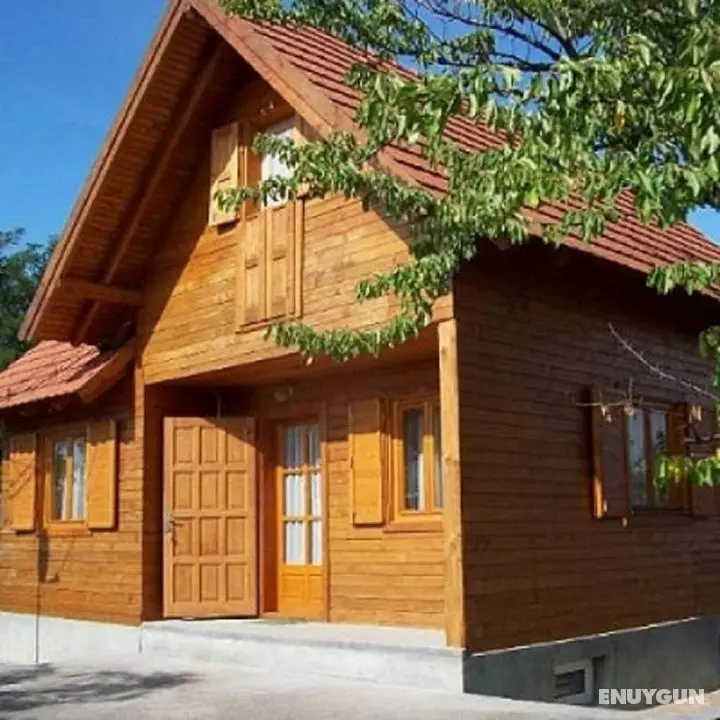 Apartman Daniel - Öne Çıkan Resim