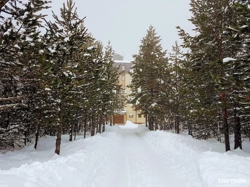 Apartmani BOSCO Blidinje - Dış Mekan