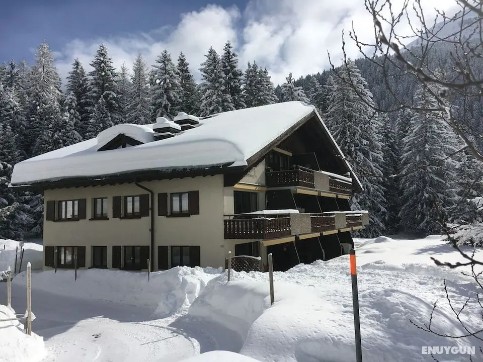 Apartment 12 Ginseng Davos Laret - Öne Çıkan Resim