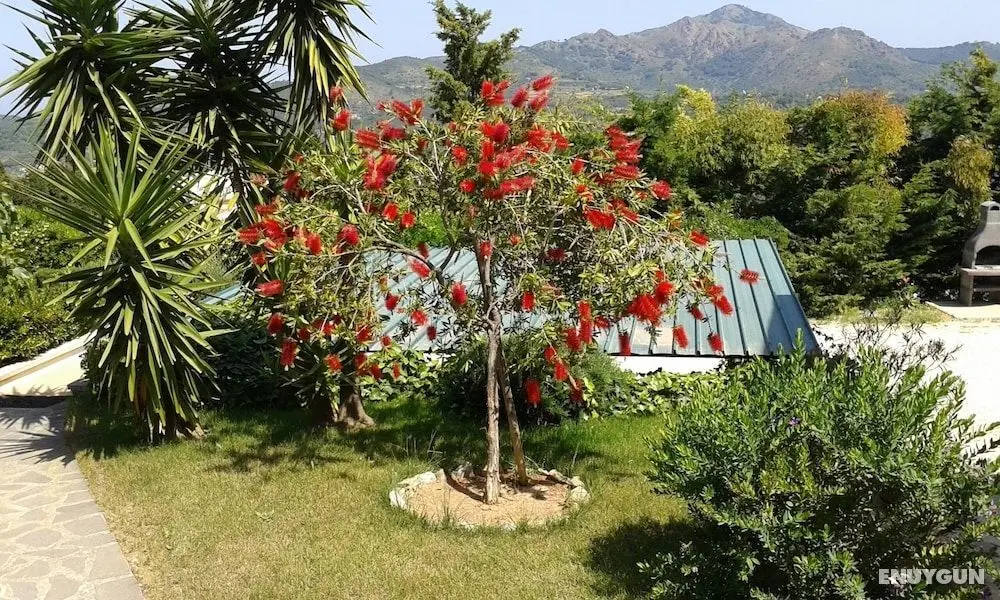 Apartment in Villa 23 Places With Large Private Garden - Öne Çıkan Resim