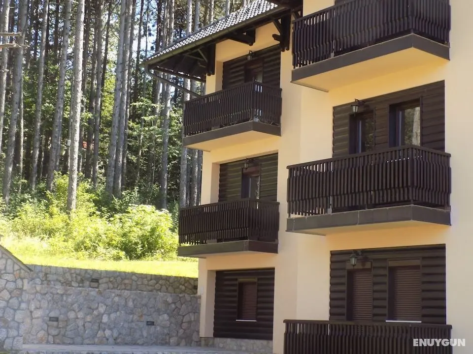 Apartment Bubica Zlatibor Best for Family Holidays and Couples in Love - Dış Mekan