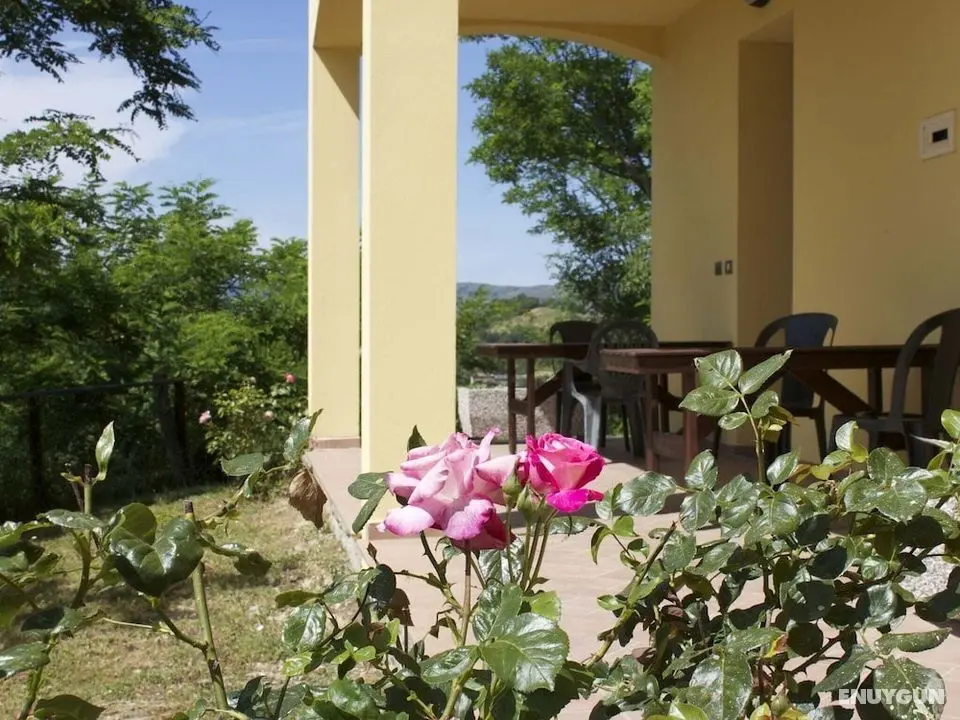 Apartment in Casalfiumanese With Terrace, Garden, Parking - Öne Çıkan Resim