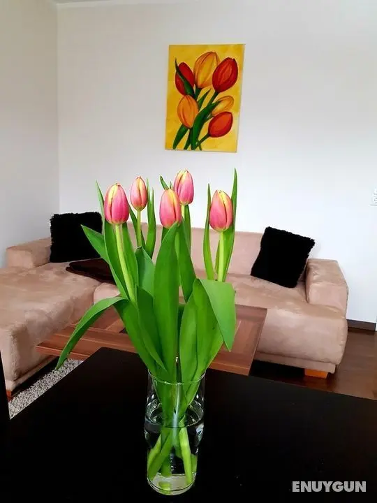 Apartment on the Elbe Ferry - Apartment for 2 - 3 People - Öne Çıkan Resim