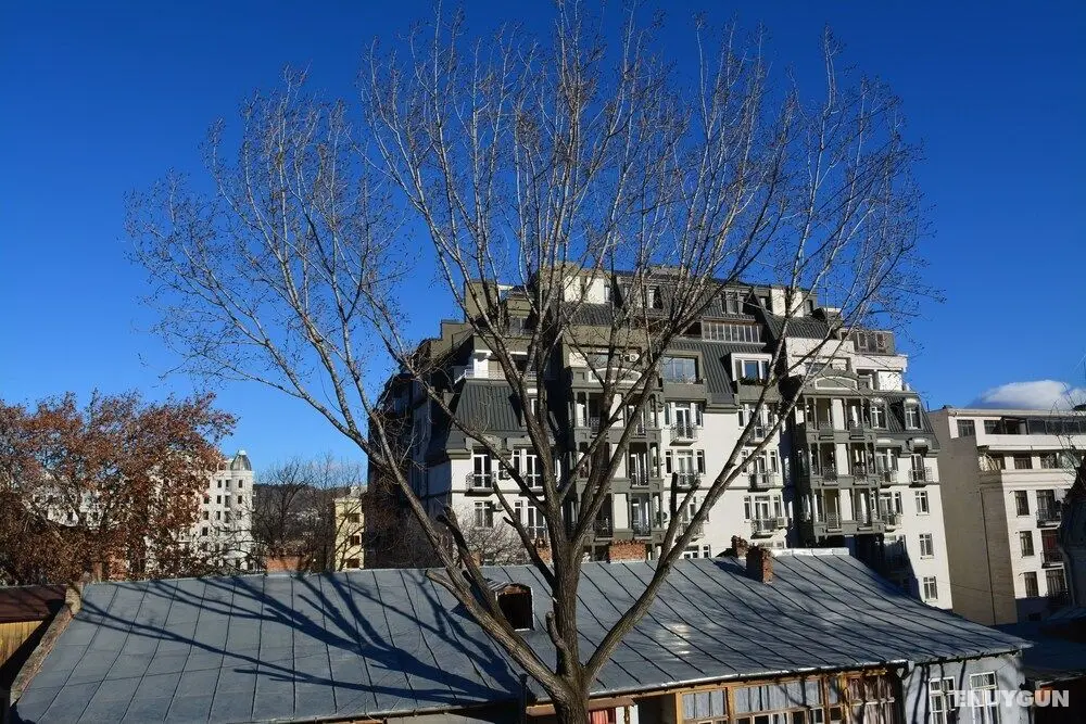 Apartment on Kotetishvili 3 ap 4 - Oda Manzaraları