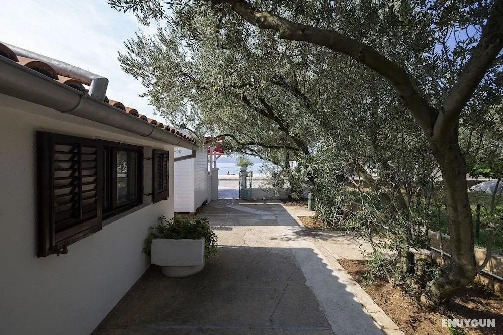 Apartment Maslina - Öne Çıkan Resim