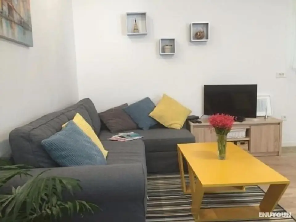 Apartment Palm Home - Öne Çıkan Resim