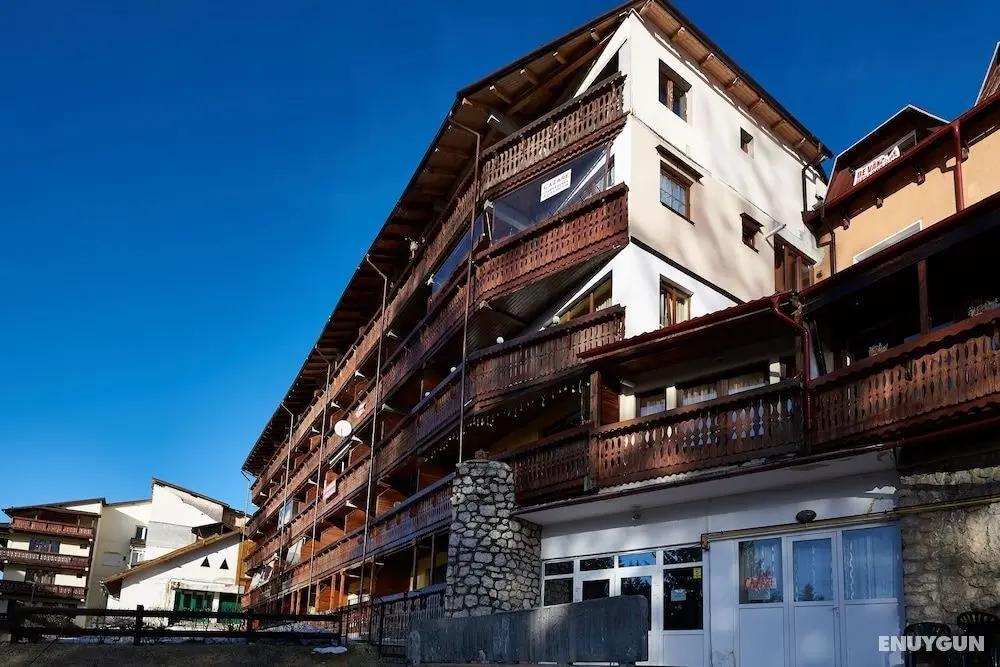 Apartment Poiana Stechil - Öne Çıkan Resim